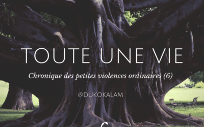 Chronique des petites violences ordinaires (6)