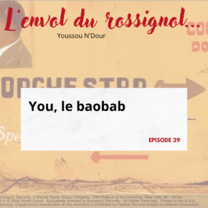 You, le Baobab